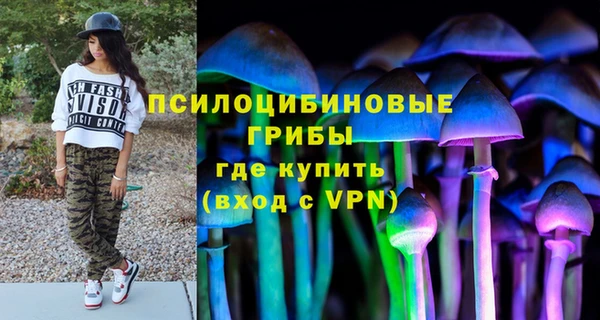 дживик Алзамай